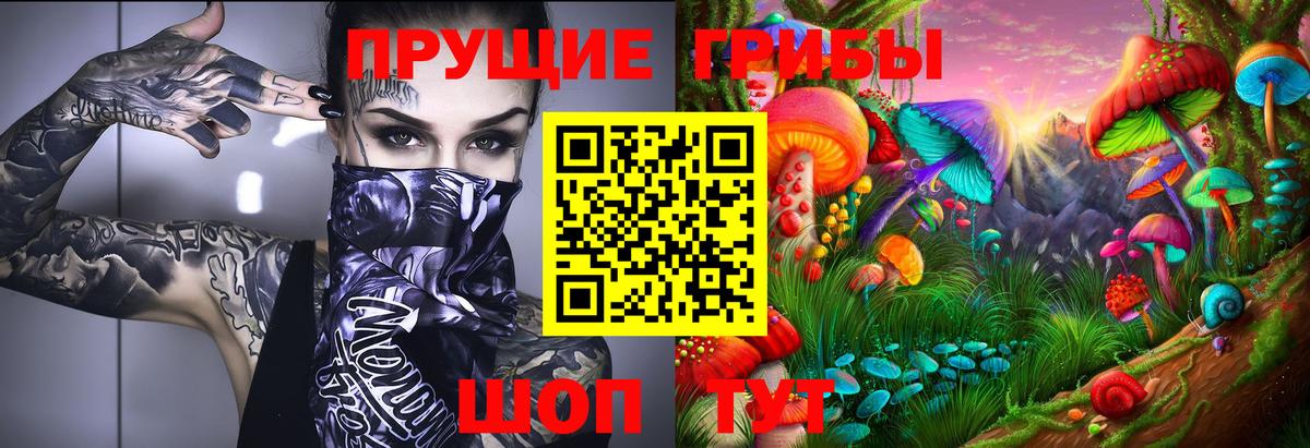 Сургут  Галлюциногенные грибы Cubensis  Вход с VPN 
